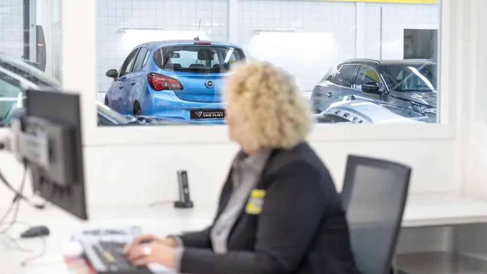 Grondig schadeproces